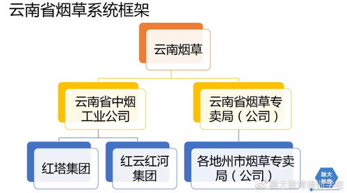 云南烟草分为哪些系统 区别是什么 待遇如何